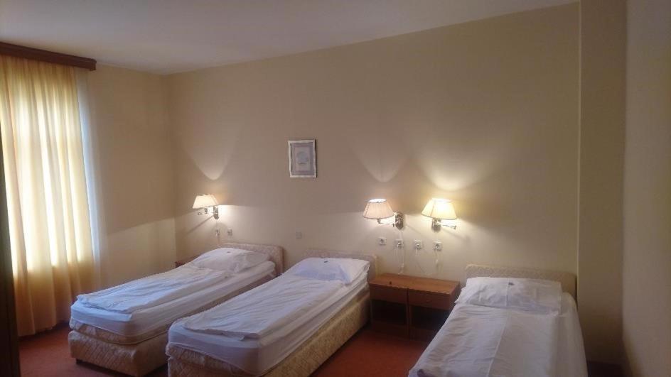 Hotel Vila Ruzica- Glavna Zgrada I Depandanse Crikvenica Exteriör bild
